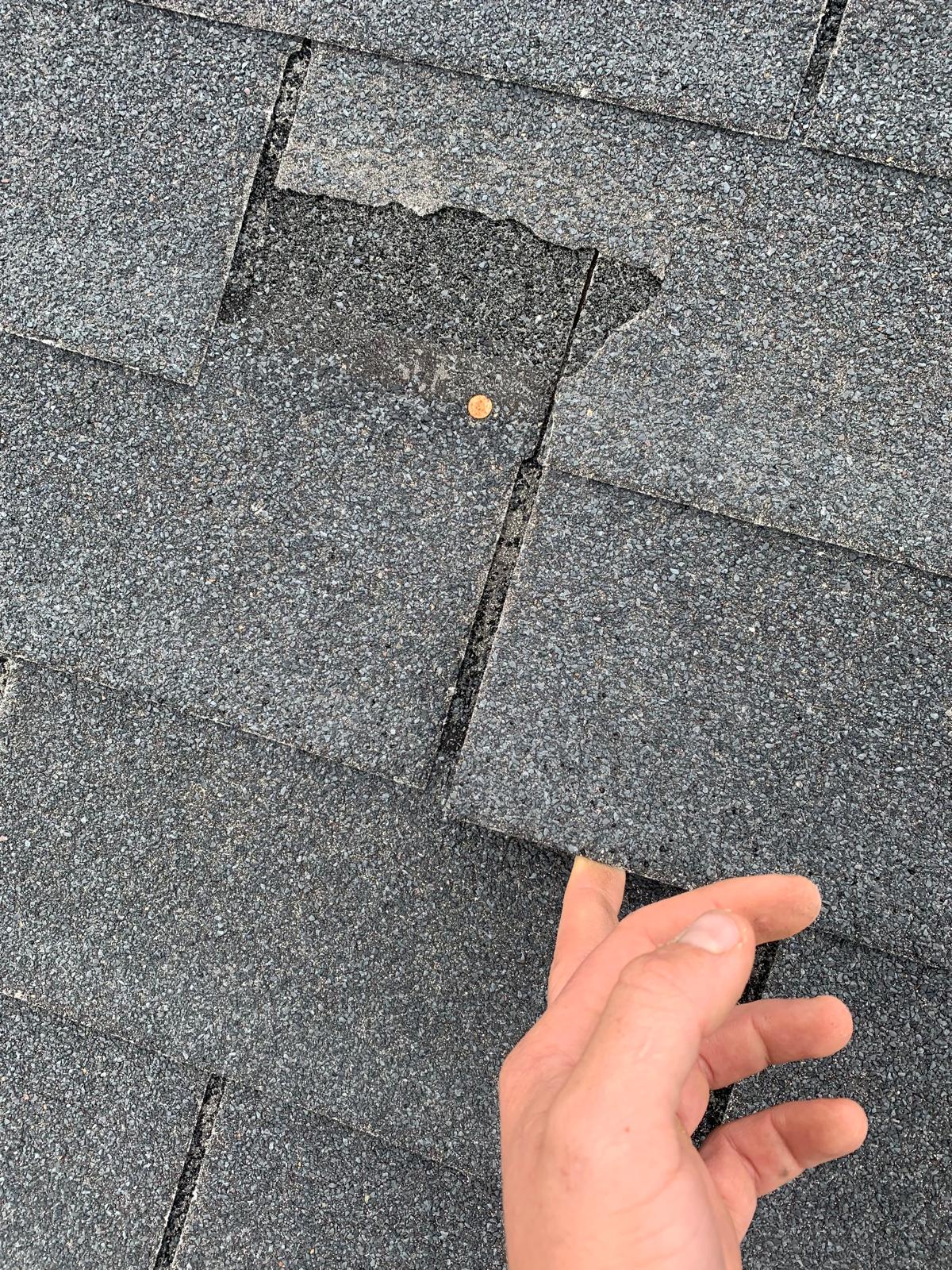 Lifted Shingle